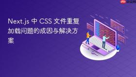 Next.js 中 CSS 文件重复加载问题的成因与解决方案
