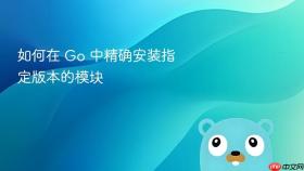 如何在 Go 中精确安装指定版本的模块
