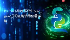 PyTorch训练循环中zero_grad()的正确调用位置详解