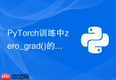 PyTorch训练中zero_grad()的正确调用位置详解