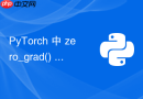 PyTorch 中 zero_grad() 的正确调用时机详解