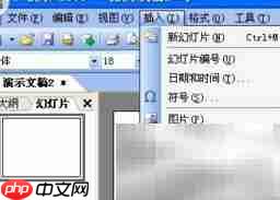 WPS演示插入Flash步骤