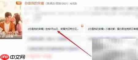 你是我的荣耀播出时间