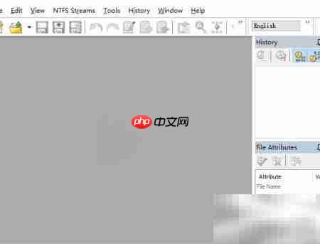 Hex Editor Neo自定义Scheme指南