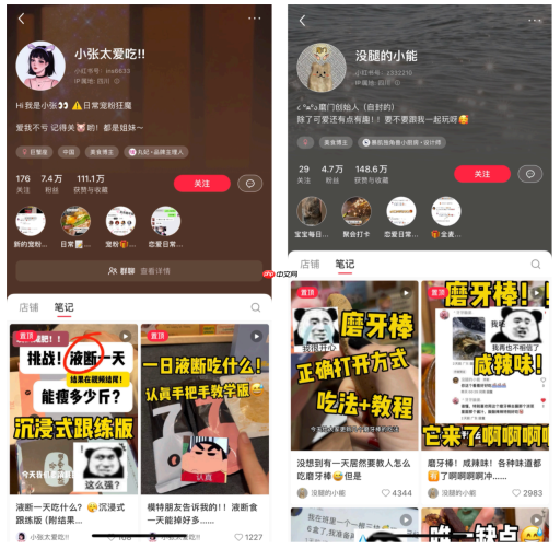 回顾:小红书2025年经营趋势预测及解读
