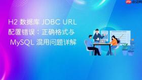 H2 数据库 JDBC URL 配置错误:正确格式与 MySQL 混用问题详解