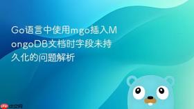 Go语言中使用mgo插入MongoDB文档时字段未持久化的问题解析