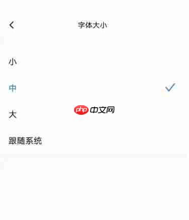秘塔写作猫怎么调整字体大小?-秘塔写作猫调整字体大小的方法