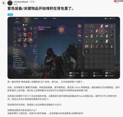 240格也不够!《红色沙漠》背包问题依旧让人恼火