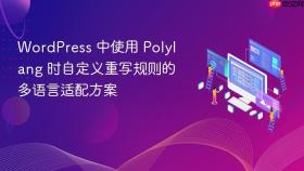 WordPress 中使用 Polylang 时自定义重写规则的多语言适配方案