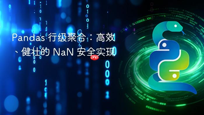 Pandas 行级聚合:高效、健壮的 NaN 安全实现