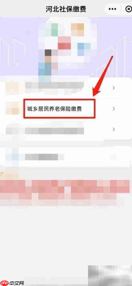 手机提取养老金方法指南