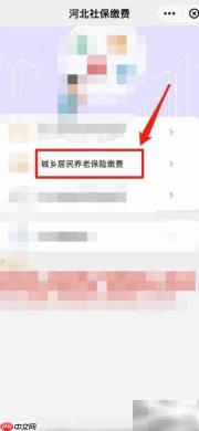 手机提取养老金方法指南