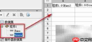 FineReport数据集使用指南