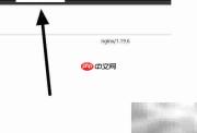 QQ音乐在线播放指南