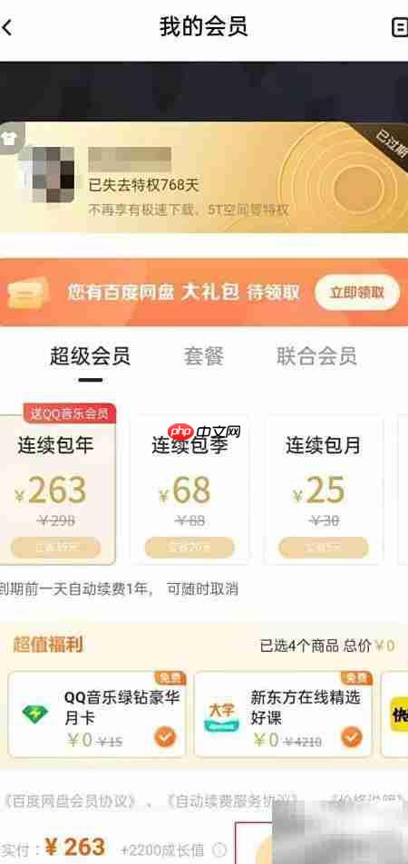 百度网盘会员续费指南