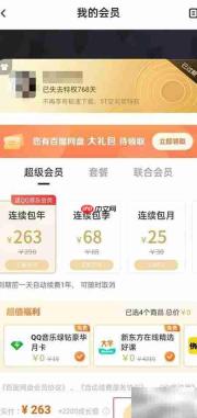 百度网盘会员续费指南