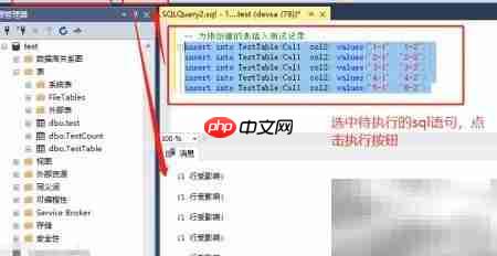 SQL Server入门指南