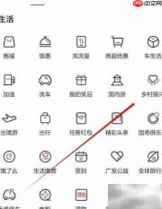 广发银行乡村振兴查询指南