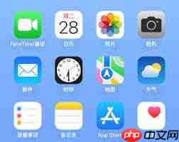 苹果FaceTime诈骗风险大吗