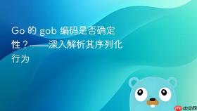 Go 的 gob 编码是否确定性？——深入解析其序列化行为
