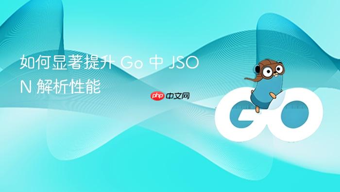 如何显著提升 Go 中 JSON 解析性能