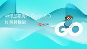 如何显著提升 Go 中 JSON 解析性能