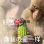 吗喽是什么意思