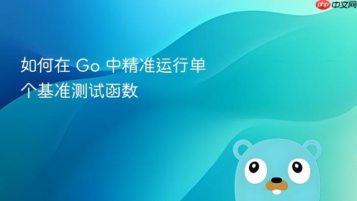如何在 Go 中精准运行单个基准测试函数