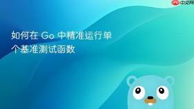 如何在 Go 中精准运行单个基准测试函数
