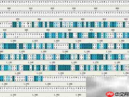 用Discovery Studio构建蛋白结构