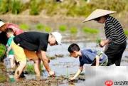 朗基地产赋能乡村振兴