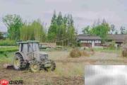 朗基地产赋能乡村振兴