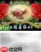 经验杂志制作全解析