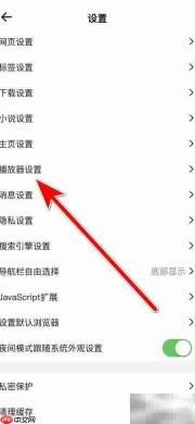 鲨鱼浏览器解码器自动匹配