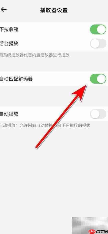 鲨鱼浏览器解码器自动匹配