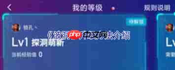 波洞如何进行升级