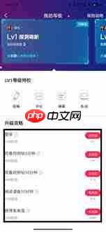波洞如何进行升级