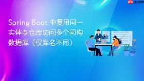 Spring Boot 中复用同一实体与仓库访问多个同构数据库（仅库名不同）