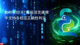 如何在BERT掩码语言建模中支持多标签正确性判定
