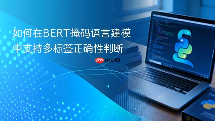 如何在BERT掩码语言建模中支持多标签正确性判断
