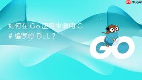 如何在 Go 应用中调用 C# 编写的 DLL？
