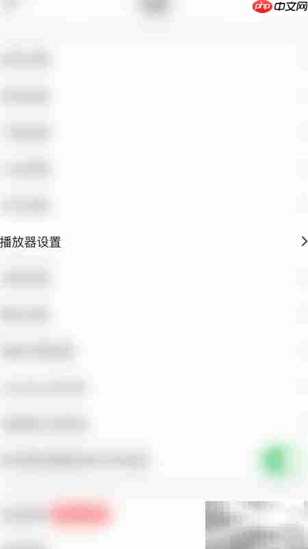 鲨鱼浏览器自动解码开启方法