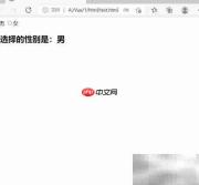 v-model与radio结合的效果解析