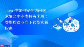 Java 中如何安全访问继承集合中子类特有字段：类型检查与向下转型实践指南
