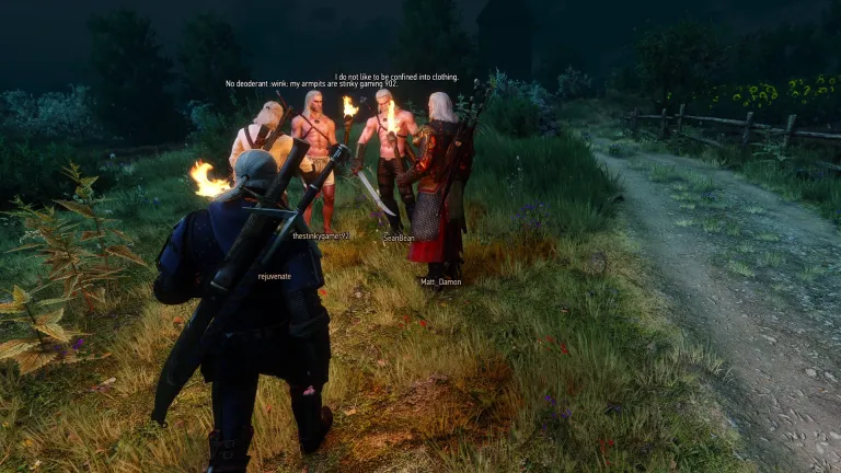 《巫师3》多人在线MOD发布2.0版本 可和其他玩家交易