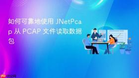 如何可靠地使用 JNetPcap 从 PCAP 文件读取数据包
