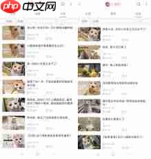 b站怎么投稿赚钱