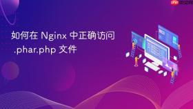 如何在 Nginx 中正确访问 .phar.php 文件