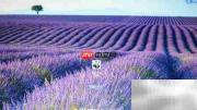 Windows 7锁屏背景更换方法